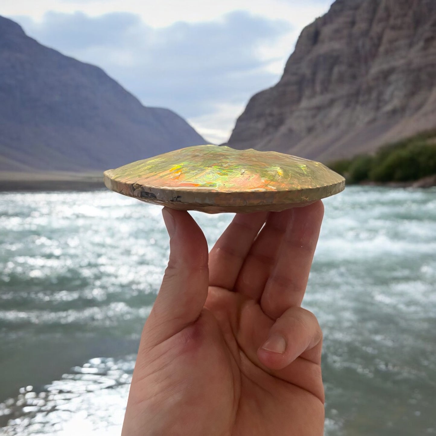 Intercalare Ammonite