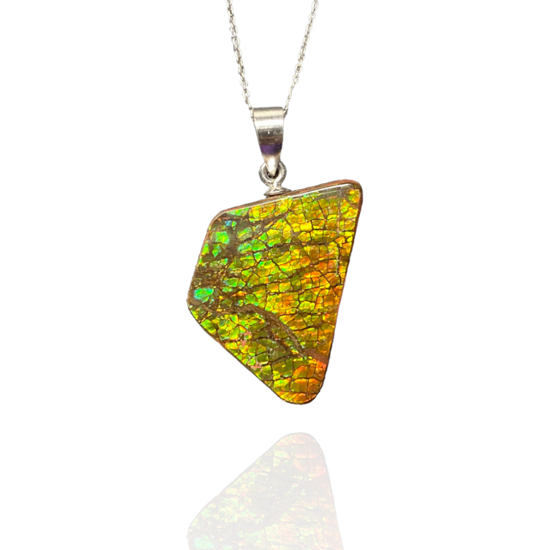 Ammolite Pendant