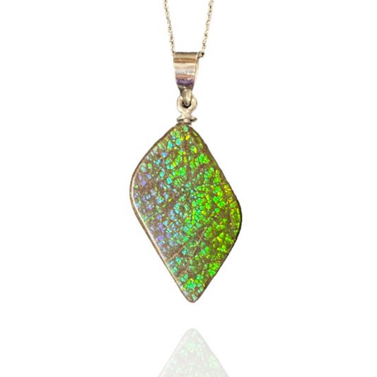 Ammolite Pendant