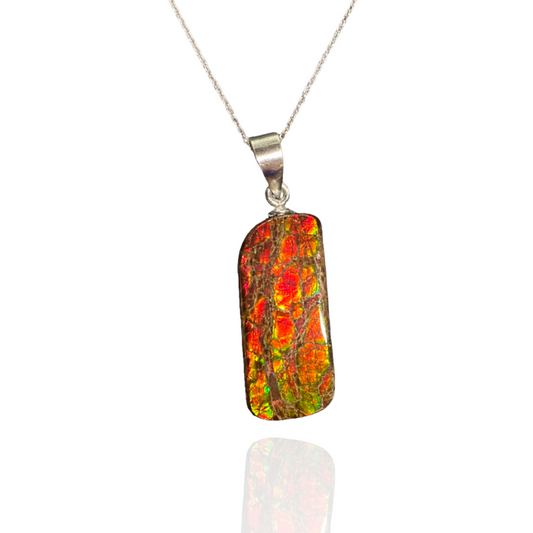 Ammolite Pendant