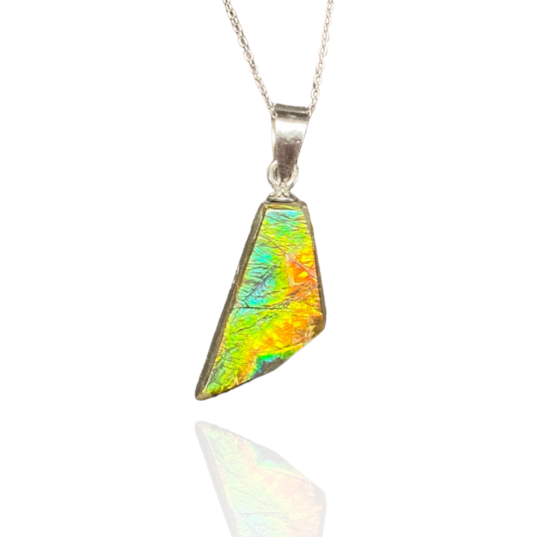 Ammolite Pendant