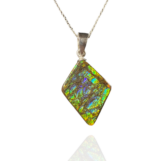 Ammolite Pendant