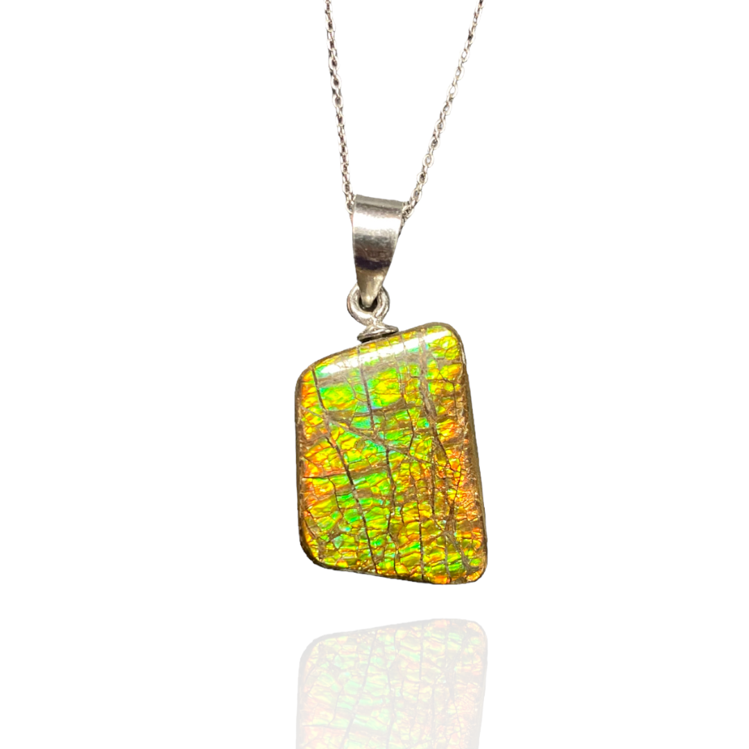 Ammolite Pendant