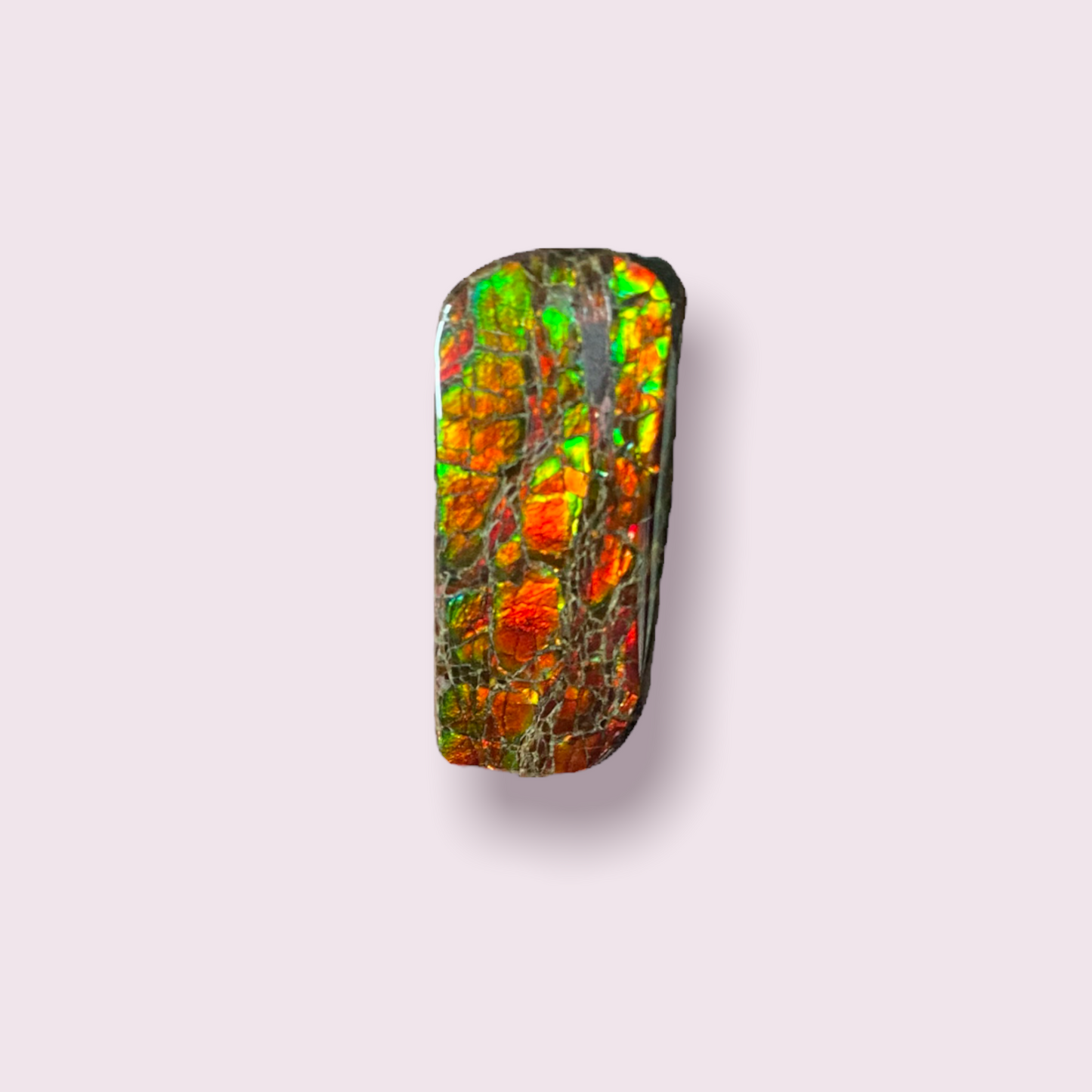 Ammolite Pendant