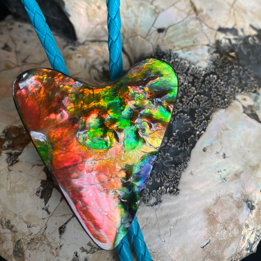 Ammolite Suture Bolo Tie