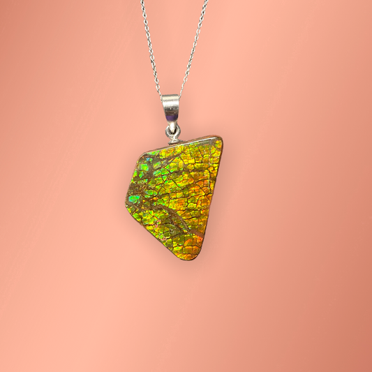 Ammolite Pendant