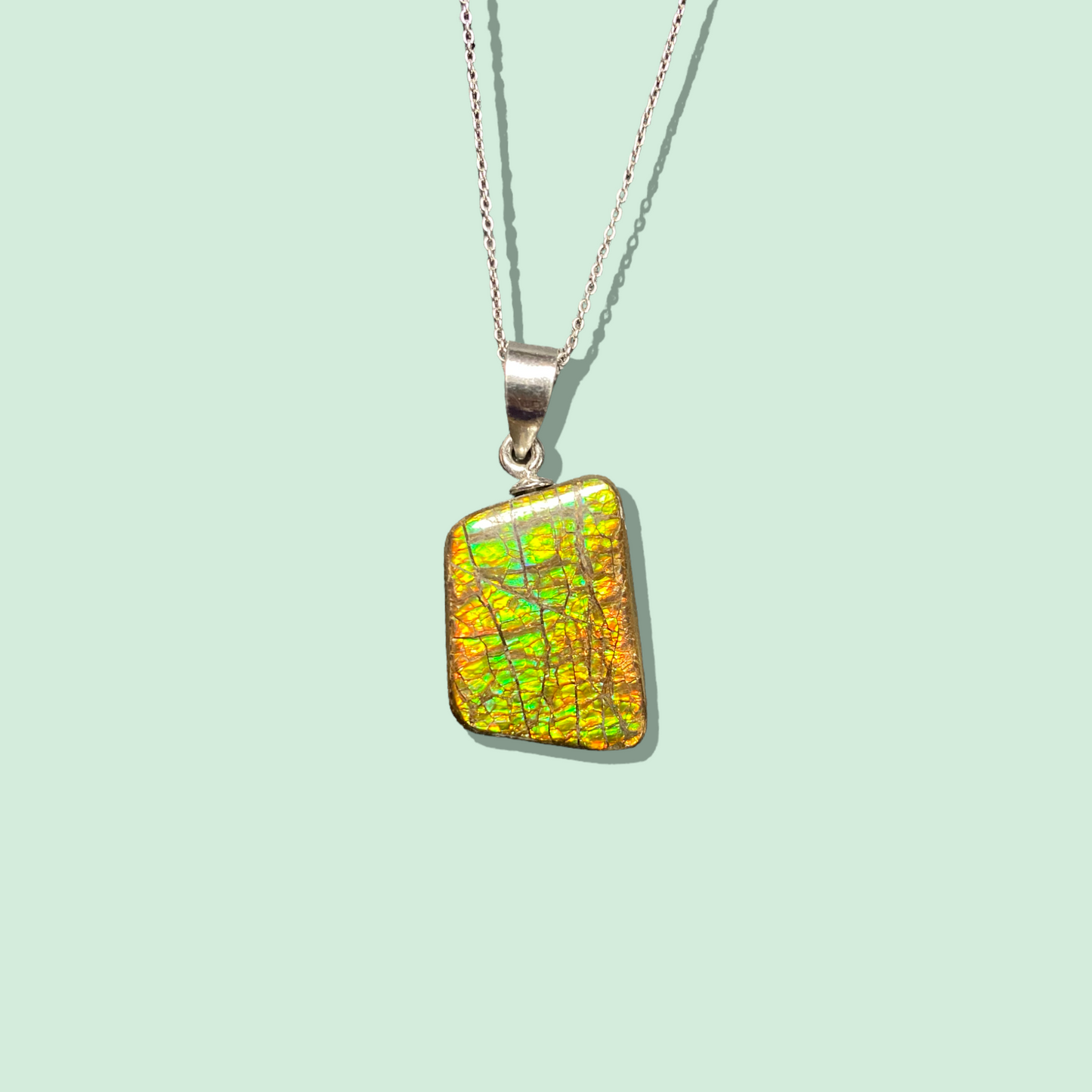 Ammolite Pendant